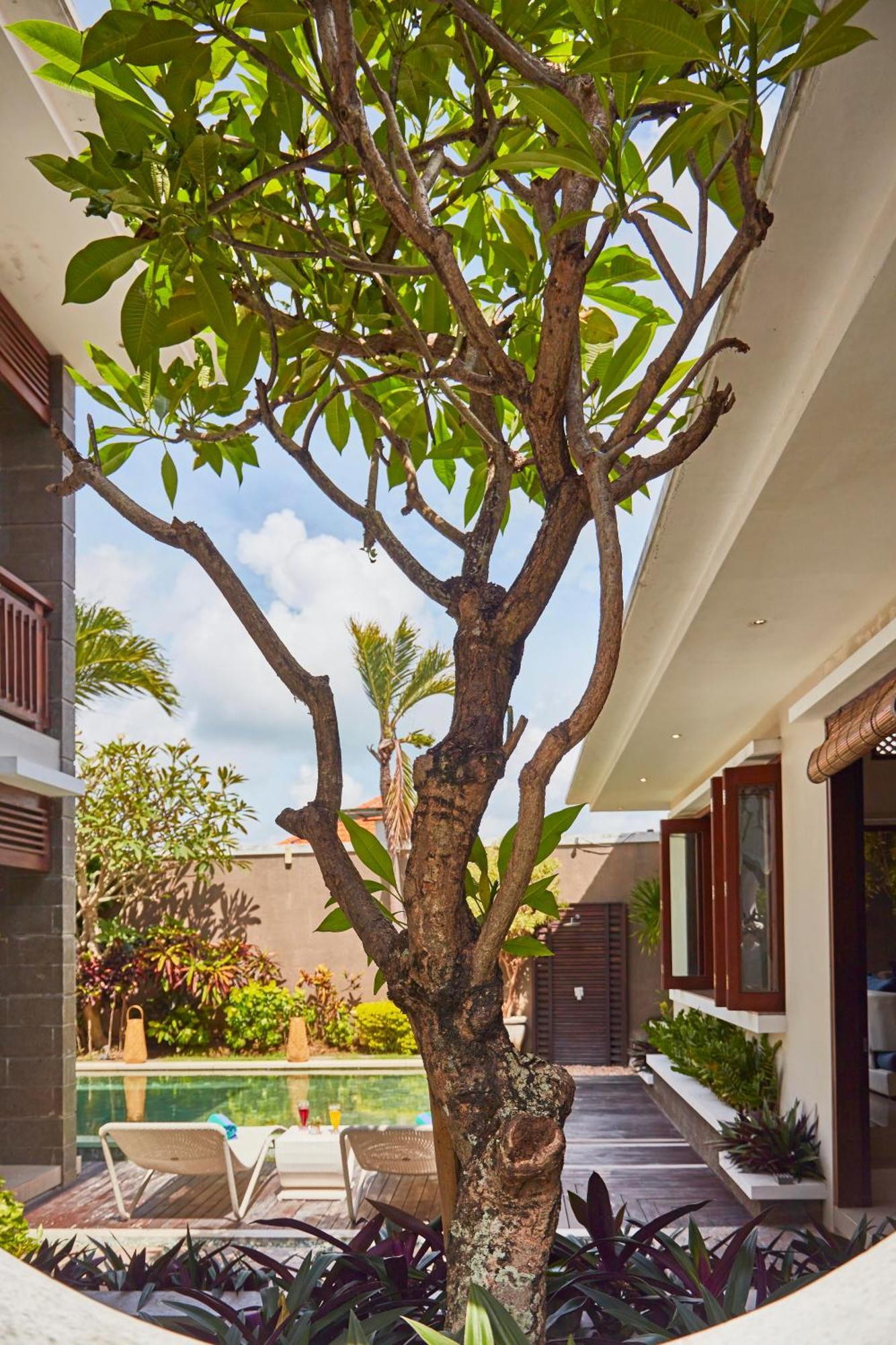 Dreamscape Bali Villas Canggu Exterior photo